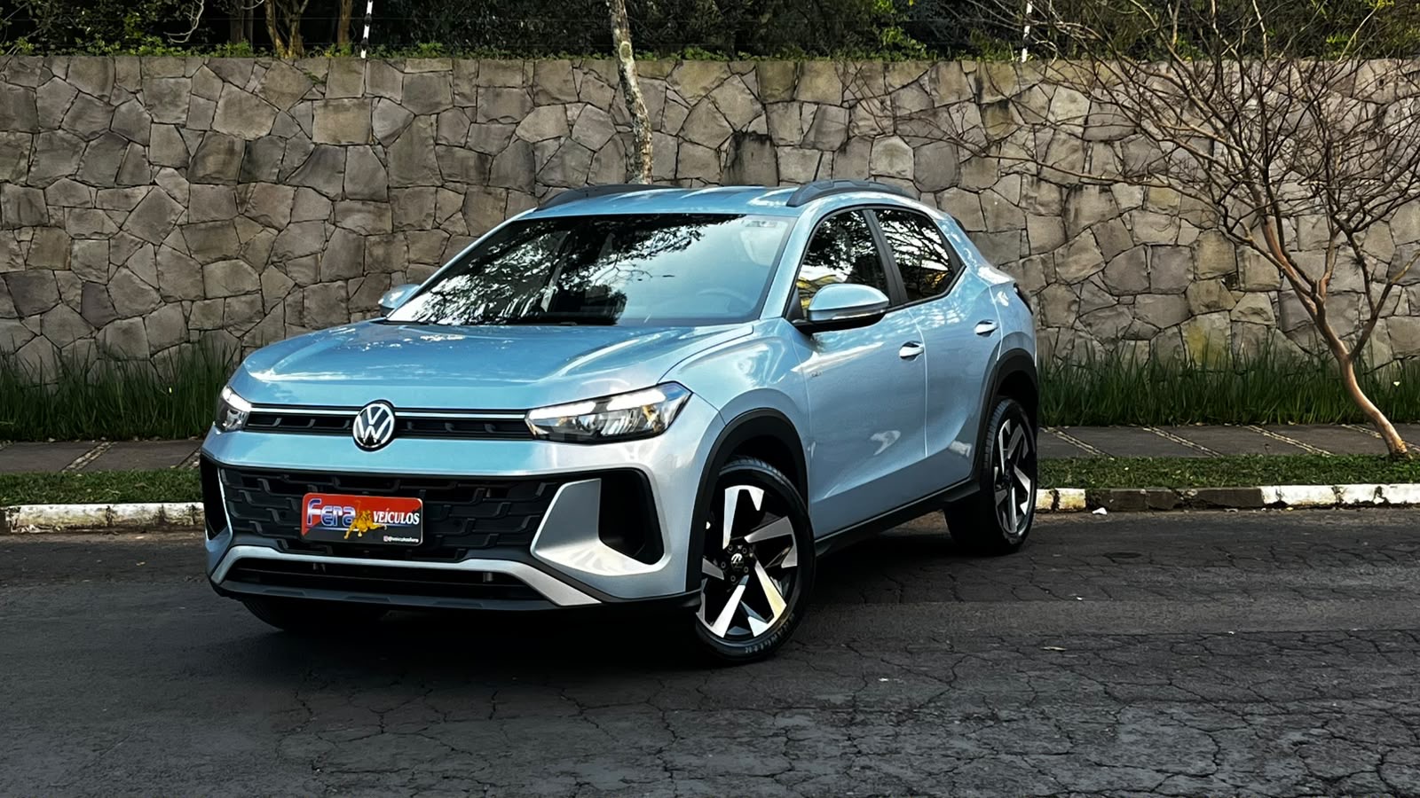 Volkswagen TERA